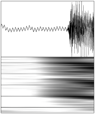 Image interference