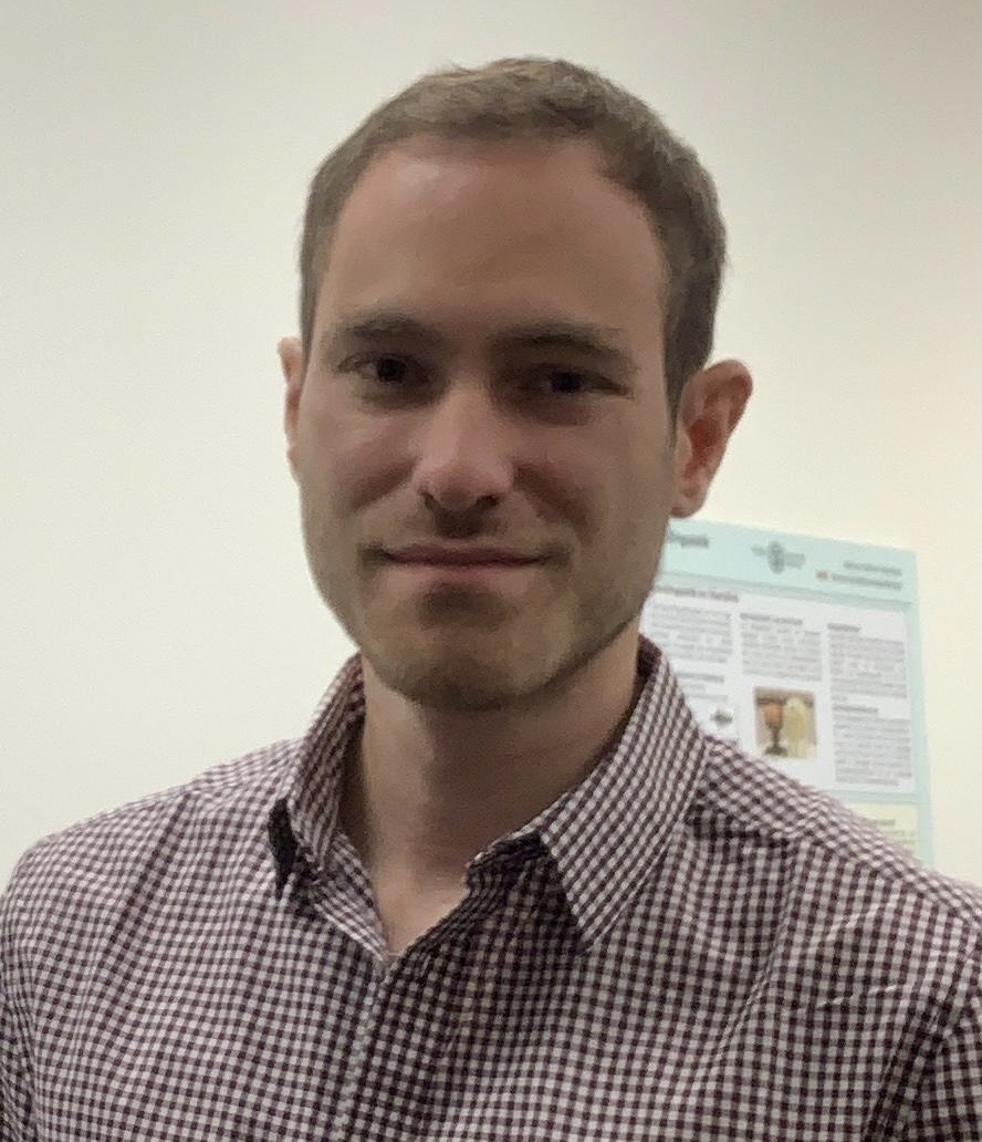 Andrea Brugnoli