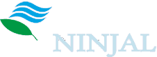 National Institute for Japanese Linguistics